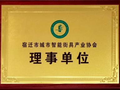 荣誉证书-理事单位